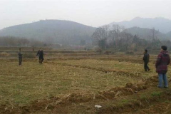 1亩地是多少平方米,一亩地究竟等于多少平方米？揭秘土地面积换算奥秘