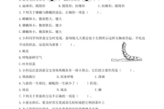 三年级科学下册期末试卷,知识检测与能力提升