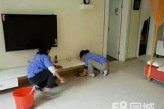 搬家想找个仓库,仓储解决方案一站式服务指南