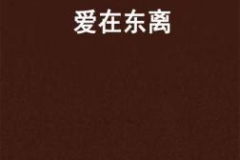残夏小说,夏日余晖下的青春挽歌