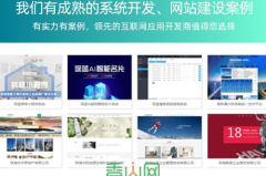 珠海网站建设,打造专业、高效、用户体验至上的网络平台