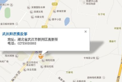 阳逻邮编,湖北省武汉市新洲区阳逻街道的邮政编码与社区概览”