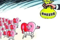 精神赔偿,法律保障下的心灵慰藉与公正正义