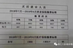 职工养老保险缴费标准,比例、基数与缴费档次全面解读