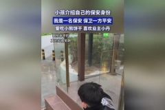 保安爱吃小饼干故事视频全部,小熊饼干背后的温馨故事