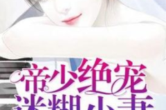 叶玄叶灵小说全文免费阅读笔趣阁,剑道传奇，逆天崛起