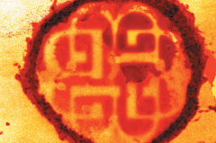 breakingbenjamin,摇滚乐坛的激情与力量
