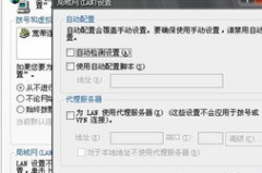域名纠错系统,解析错误域名，提升网络访问体验