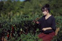 李子柒文化输出,李子柒的文化输出之路