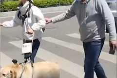 盲人带导盲犬被拒,盲人带导盲犬被拒现象的反思与启示