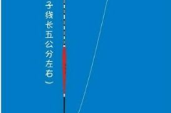 台钓调漂视频,视频教程深度解读