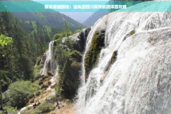 忍者神龟3单机版 ，张家界国度丛林公园上榜2024环球100必打卡景点榜及《电视剧精忠岳飞下载