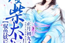 千寻千寻的小说,浪漫爱情与奇幻冒险的交织之旅