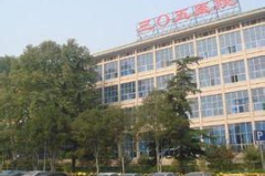305医院,守护健康，铸就卓越医疗品质的典范”