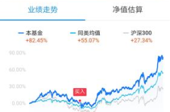 基金163402,投资策略、业绩表现与未来展望”