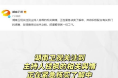 娱乐吃瓜链,揭秘明星幕后故事与网络热议现象