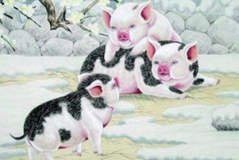 三年的女猪今年运势,事业、财运、感情与健康的全方位展望