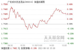 广发优选基金,稳健投资策略与卓越业绩解析