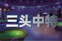 猛料原创在线观看澳门四组三连肖